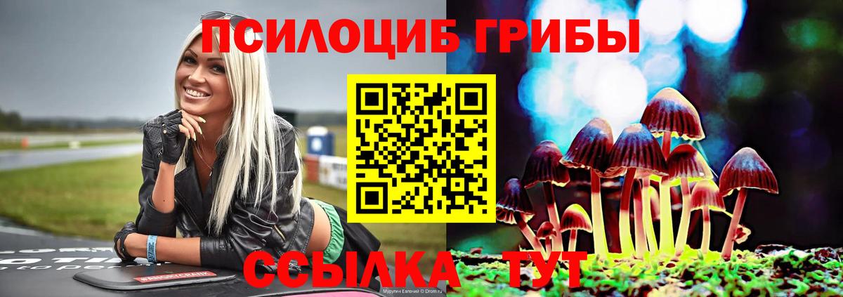 Орск  Псилоцибиновые грибы ЛСД  Вход с VPN 