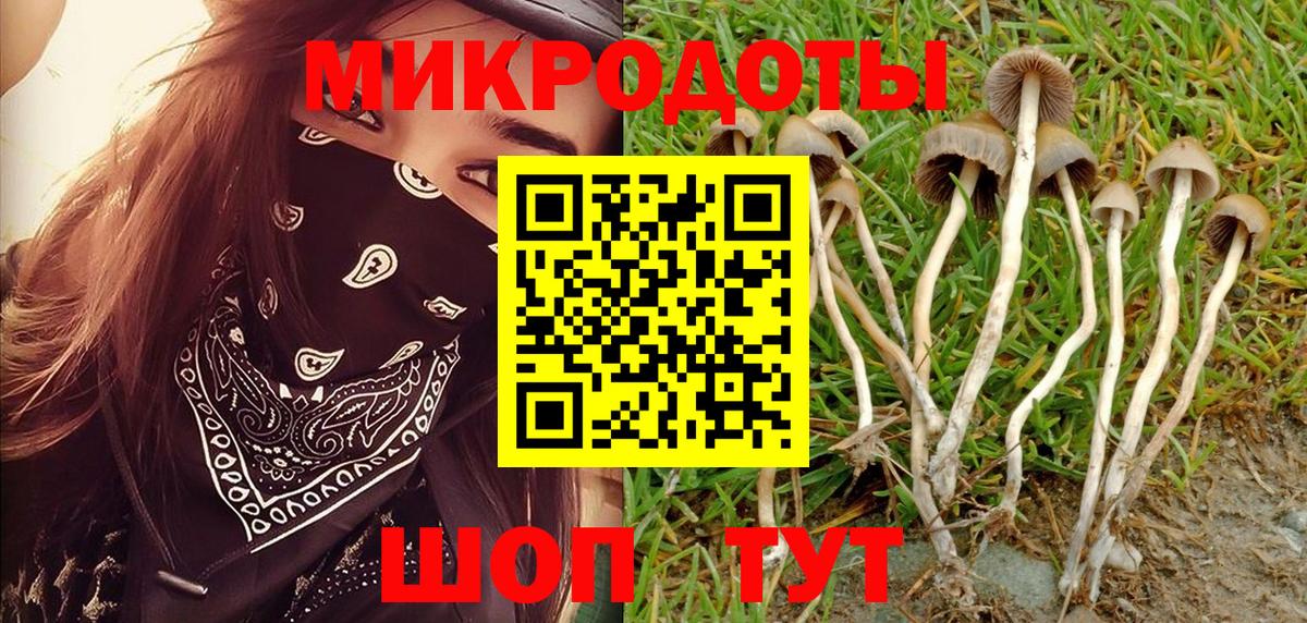 Псилоцибиновые грибы MAGIC MUSHROOMS Орск